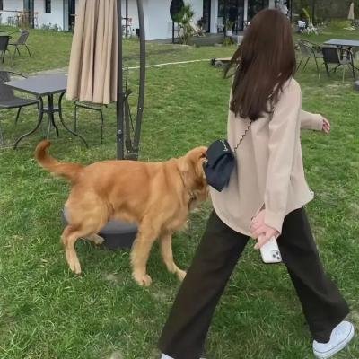 衰鬼抓狂