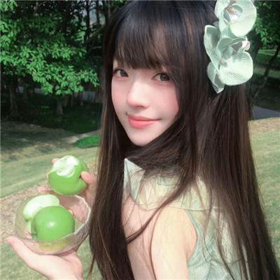 小狗当家